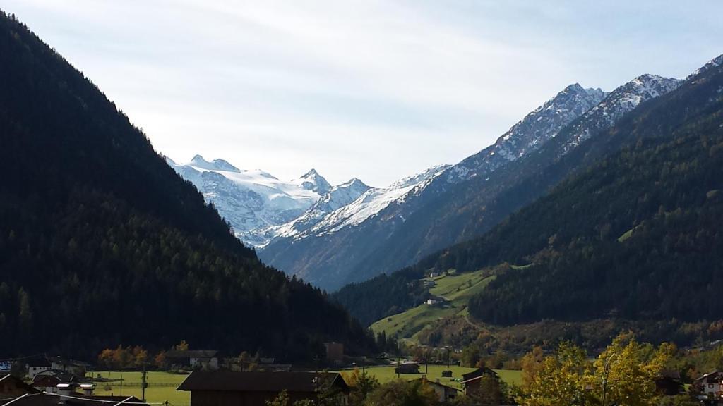 Ahorn * Neustift im Stubaital